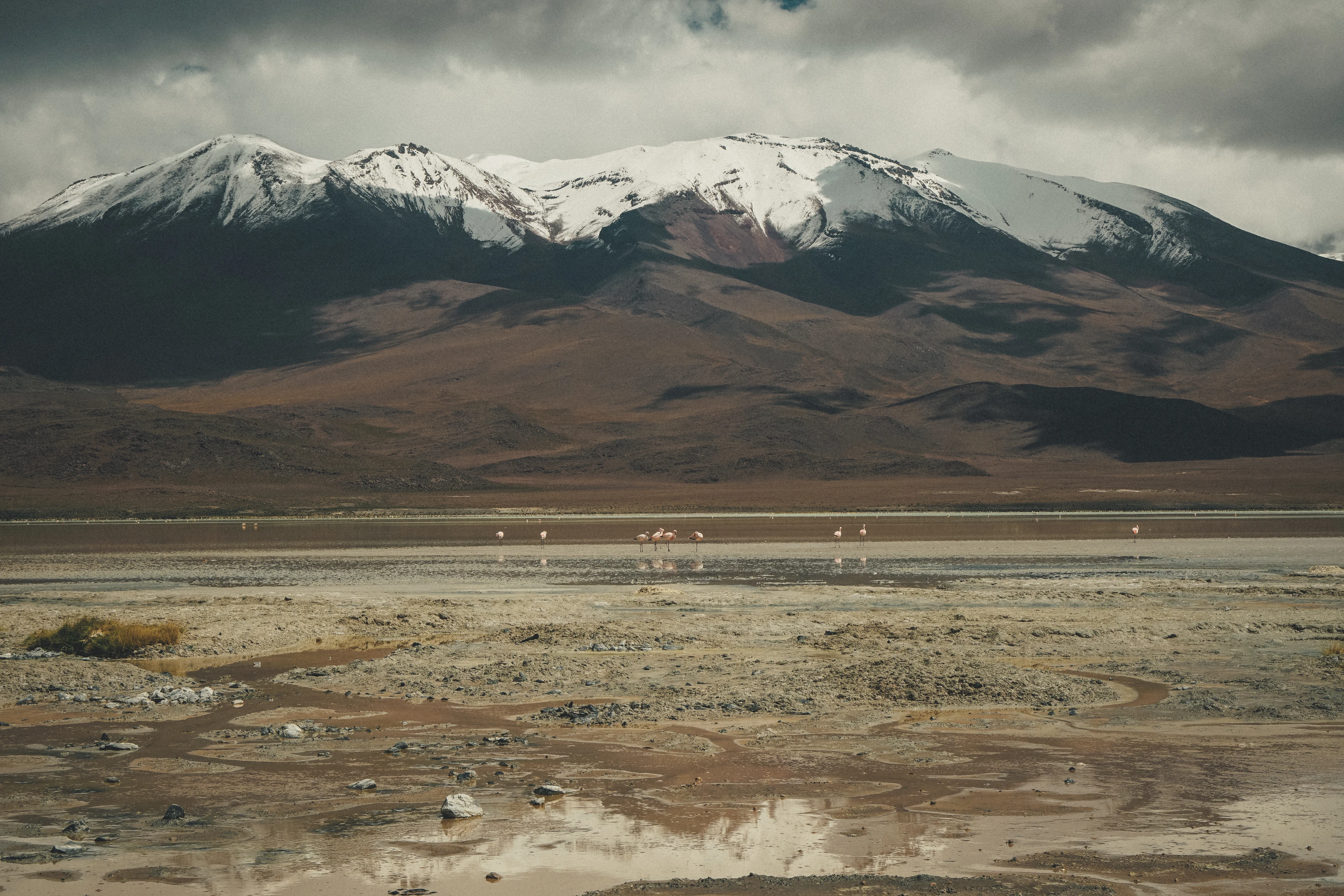 Brooklyn to Ushuaia — adventure travel, photography, image 45