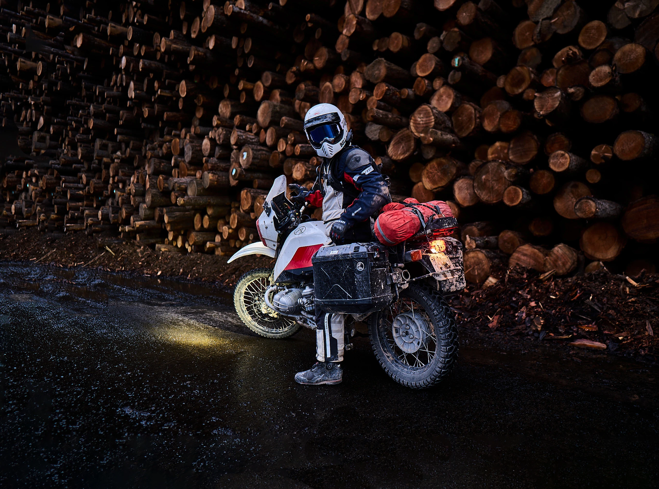 Wild Myth — custom bike build, motorcycles, image 10