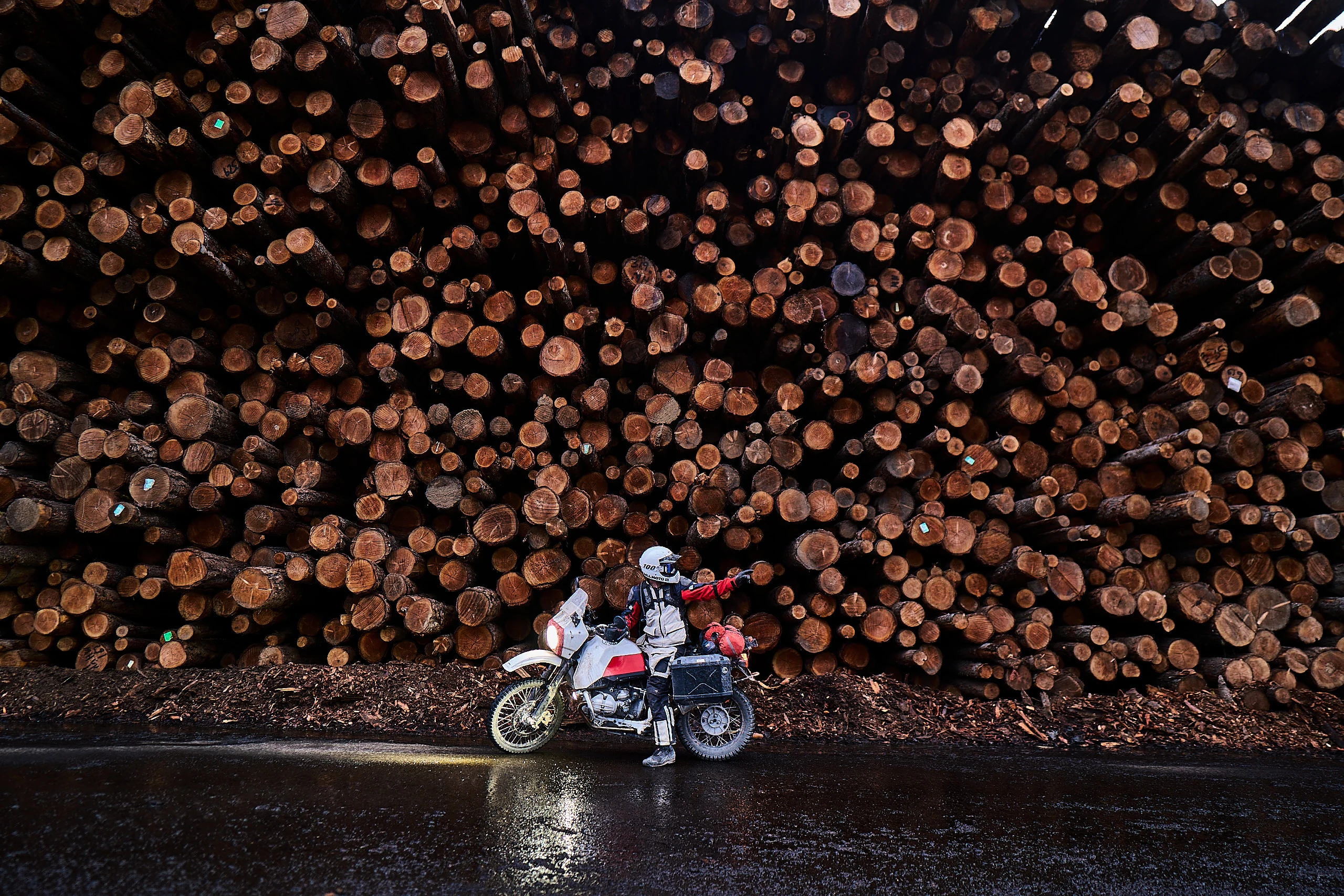 Wild Myth — custom bike build, motorcycles, image 9