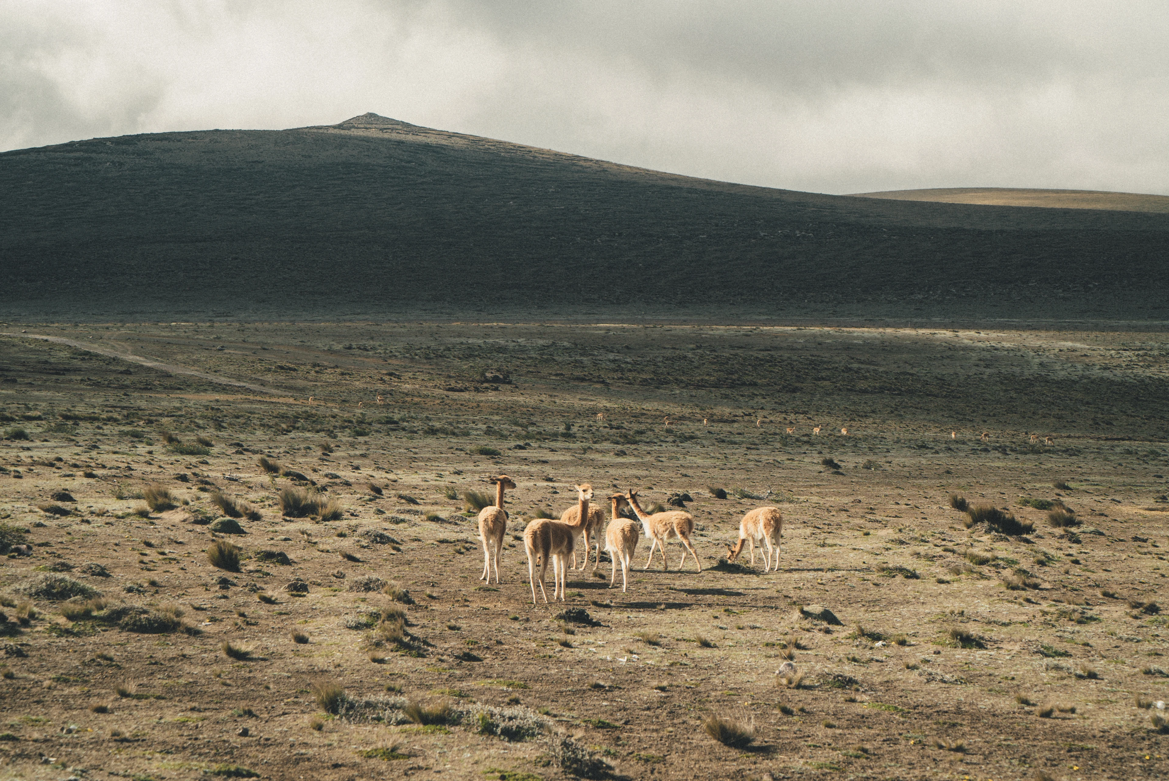 Brooklyn to Ushuaia — adventure travel, photography, image 17